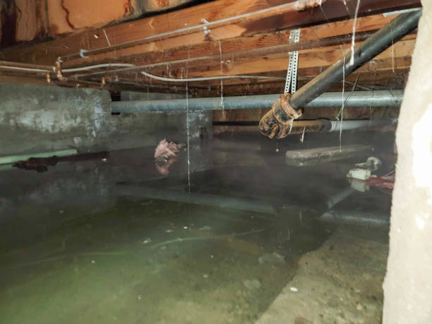  Rupert, ID Water damage restoration Pros