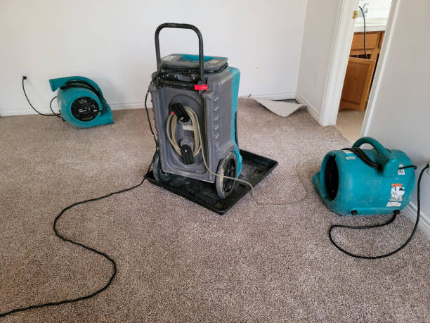 Best Water damage repair service  in Rupert, ID