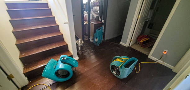Best Local water damage restoration  in Rupert, ID