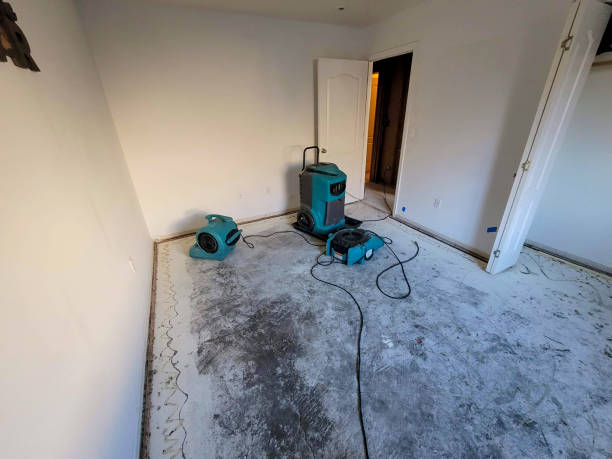 Best Sewage cleanup and water damage restoration  in Rupert, ID