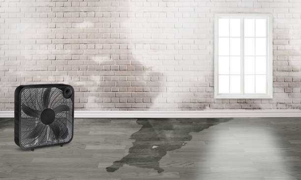 Fire Damage Restoration in ID