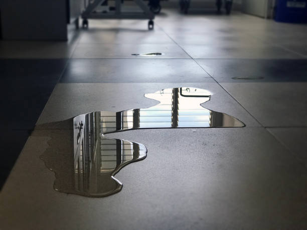 Trusted ID Water damage restoration Experts