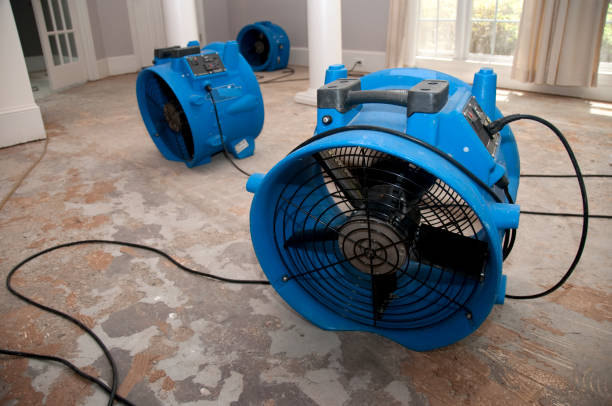 Best Water damage restoration near me  in Rupert, ID