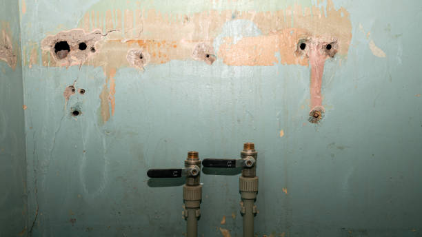 Best Flood restoration services  in Rupert, ID