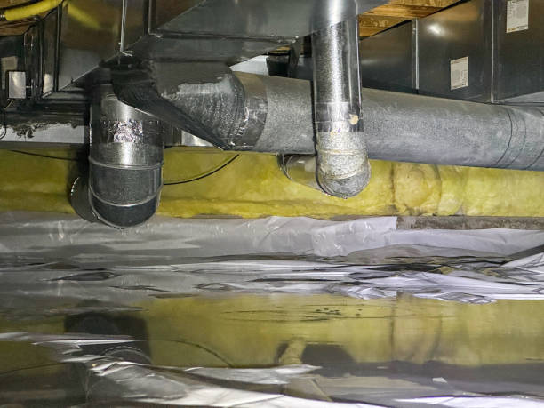 Best Fire Damage Restoration  in Rupert, ID