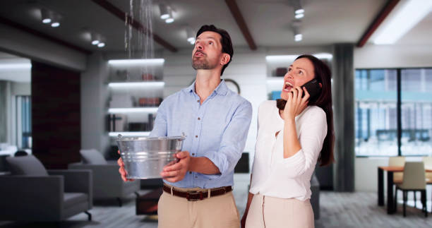 Best Water damage restoration near me  in Rupert, ID